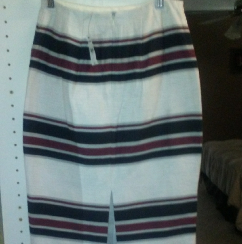 Express Skirt